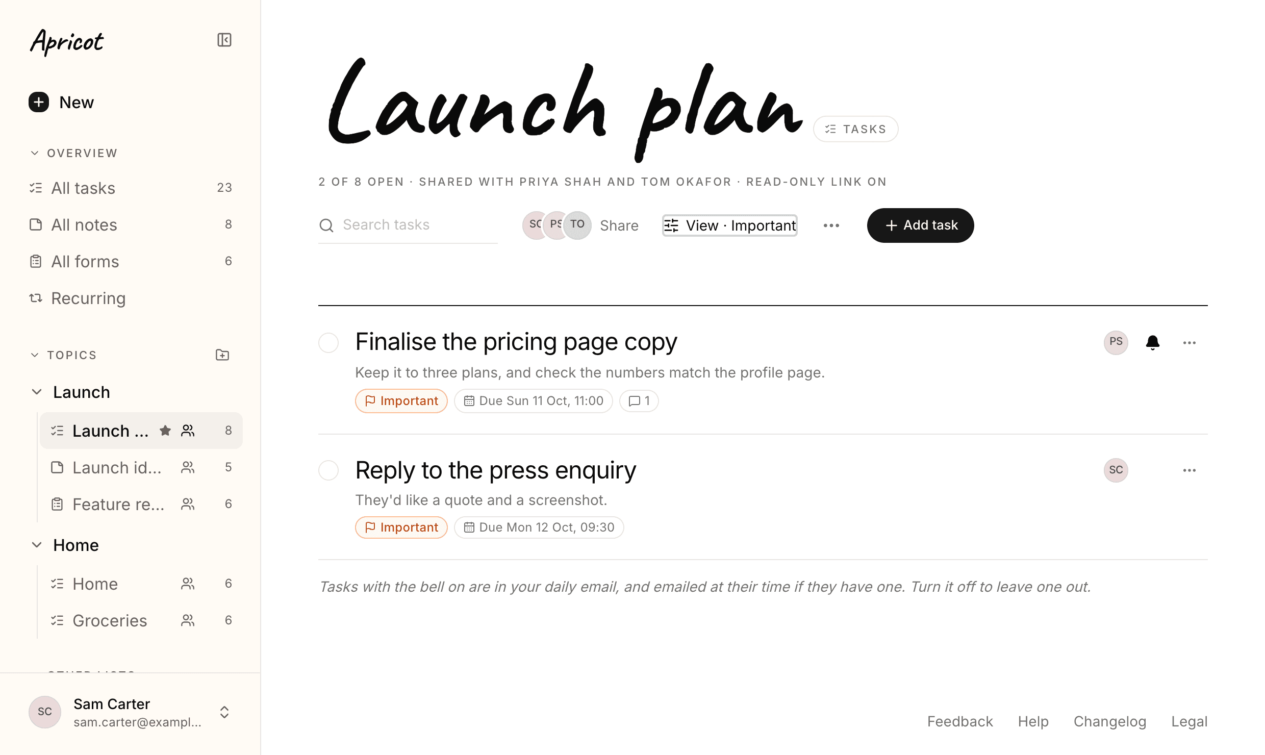 Launch plan with View set to Important only: two tasks, Finalise the pricing page copy and Reply to the press enquiry, each with an apricot Important pill beside its due date. The View button reads View · Important.